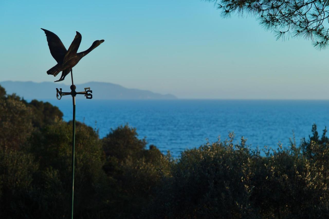 Villa Talamo Fonteblanda Exteriér fotografie